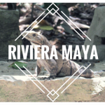 Que faire à la Riviera Maya ?