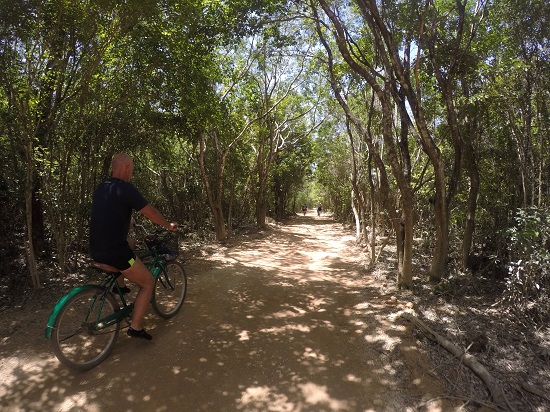 Paseo en bici cenotes de chemuyil