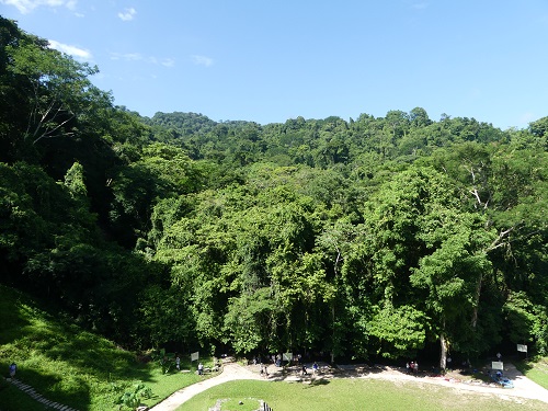  zona arqueológica de Palenque selva tropical 