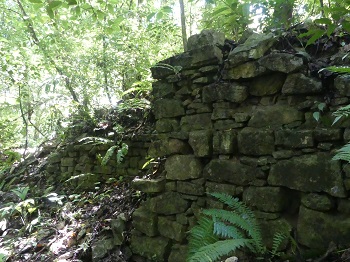 zona arqueológica de Palenque descubierto
